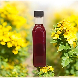 KANTARON YAĞI 250 ML (SARI KANTORON ÇİÇEĞİ)